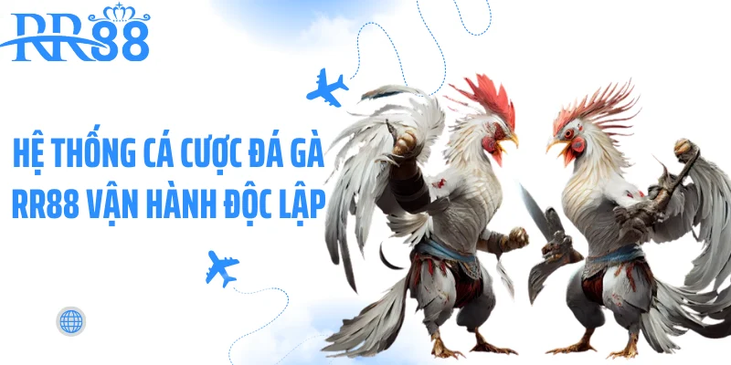 Hệ thống cá cược đá gà RR88 vận hành độc lập