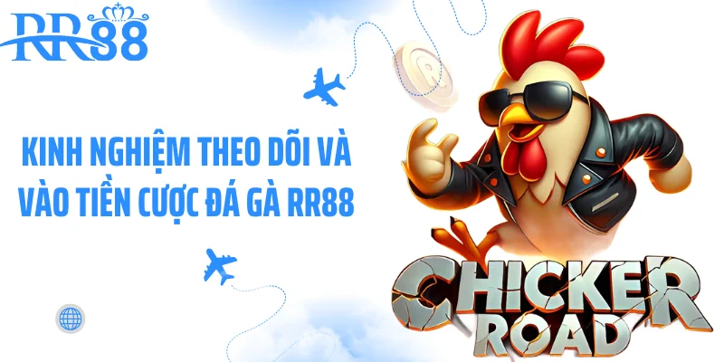 Kinh nghiệm theo dõi và vào tiền cược đá gà RR88