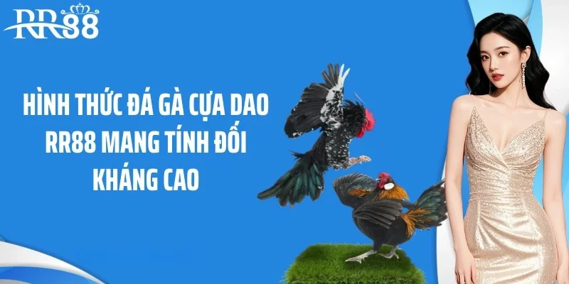 Hình thức đá gà cựa dao RR88 mang tính đối kháng cao