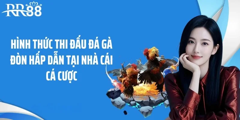 Hình thức thi đấu đá gà đòn hấp dẫn tại nhà cái cá cược