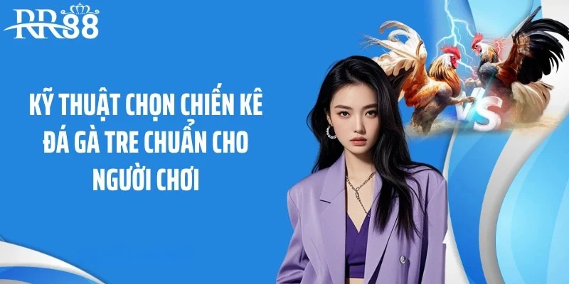 Kỹ thuật chọn chiến kê đá gà tre chuẩn cho người chơi
