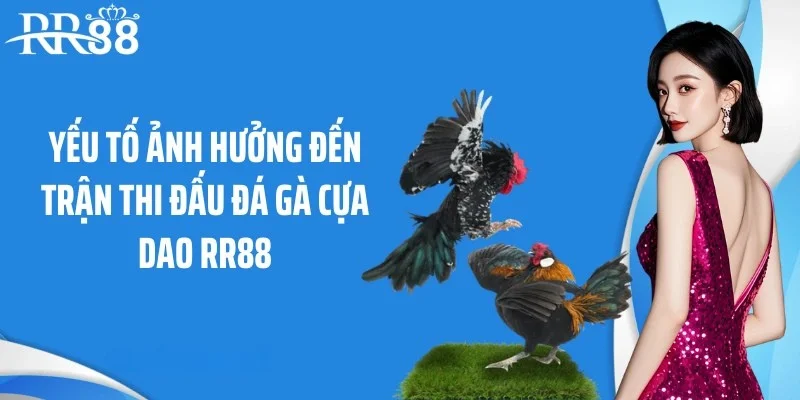Yếu tố ảnh hưởng đến trận thi đấu đá gà cựa dao RR88